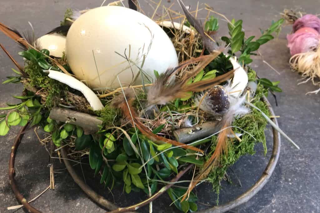 Straußenei im Nest