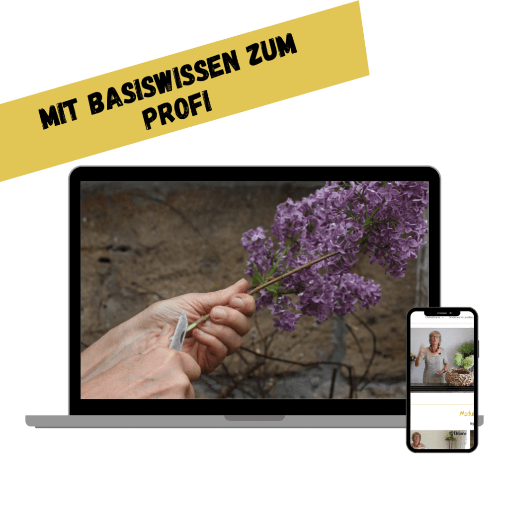 Anschnitt eines Veilchens, Basiswissen der Floristik