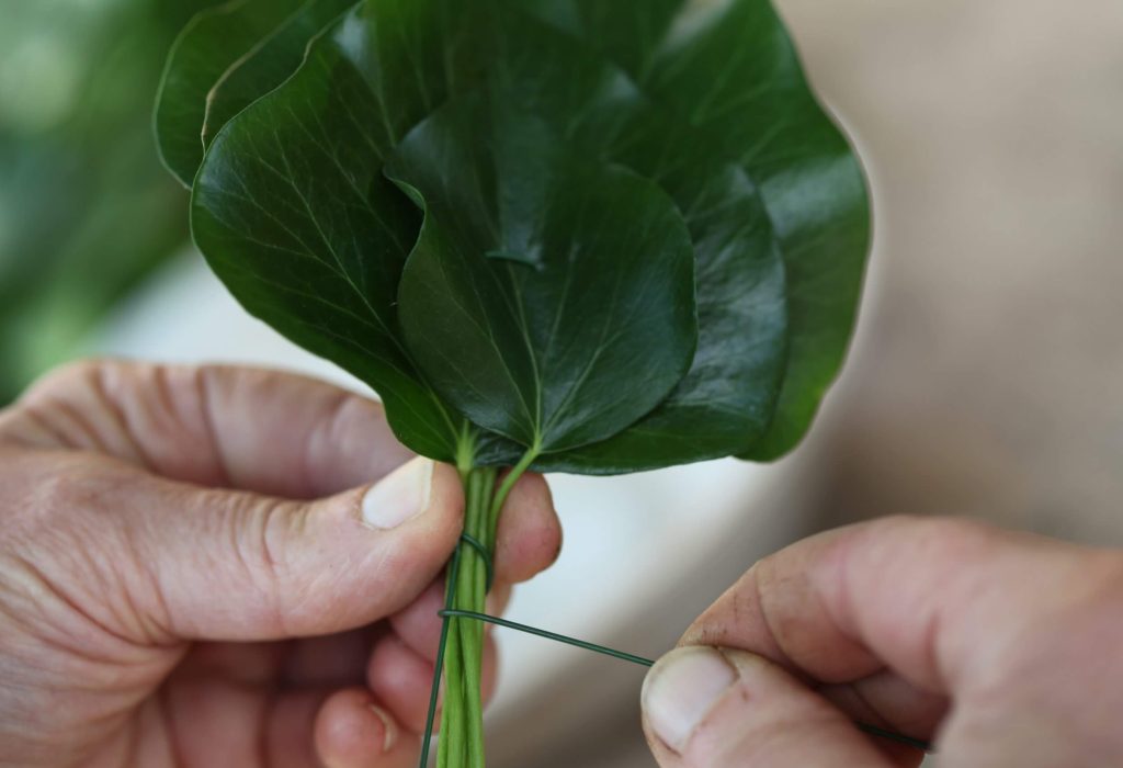 Blätter andrahten - Basiswissen der Floristik